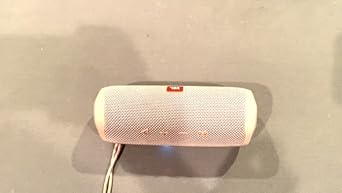 JBL Flip5ピンク Amazon.com: JBL Flip 5 Waterproof Portable Wireless